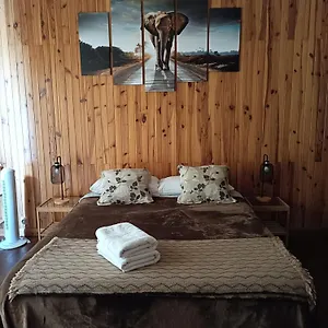 Hostel Tenerife Dreams Coffee&bed, Santa Cruz de Tenerife